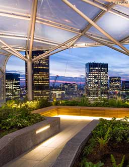 Night View: Level 16