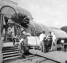 Glasshouse inspiration